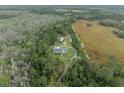 Aerial view of home nestled in wooded area with adjacent open field at 7024 Oil Well Rd, Clermont, FL 34714