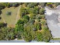 Aerial view of property with mature trees and cleared land at 26711 County Road 33, Groveland, FL 34736