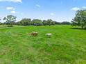 Serene pasture with horses grazing peacefully at 2027 Cr 232, Wildwood, FL 34785