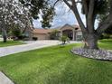 One-story home with landscaping and large tree at 9010 Laurel Ridge Dr, Mount Dora, FL 32757