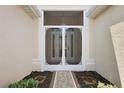 Front entry with double doors and decorative screen at 27227 Roanoke Dr, Leesburg, FL 34748