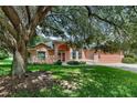 Attractive Florida home with mature landscaping and large oak tree at 36649 Sundance Dr, Grand Island, FL 32735