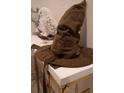 Sorting Hat and other Harry Potter themed decor at 4836 Romeo Cir, Kissimmee, FL 34746