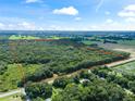 Large wooded lot with road frontage, ideal for development at 3448 Cr 567, Center Hill, FL 33514