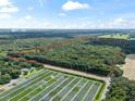 Large wooded lot with road frontage, ideal for development at 3448 Cr 567, Center Hill, FL 33514