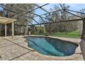 Freeform swimming pool with a screened enclosure at 24126 Plymouth Hollow Cir, Sorrento, FL 32776