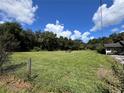 Vacant land with a grassy field and trees at 11311 Se 132Nd Pl, Ocklawaha, FL 32179
