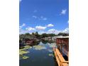 Waterfront property with serene canal views and private dock at 34323 Island Dr, Leesburg, FL 34788