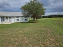 Large backyard with grassy area and tree, offering ample space at 36641 Tropical Wind Ln, Grand Island, FL 32735