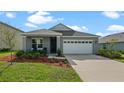 Gray one story house with white garage door at 1565 Tali Ln, Mount Dora, FL 32757