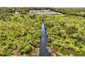 Nature preserve with a narrow waterway and lush vegetation at 1180 Dora Parc Ln, Mount Dora, FL 32757