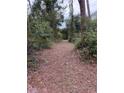 Wooded path leading through the property at 15518 State Road 19, Groveland, FL 34736