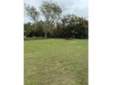 Large backyard with grassy area and mature trees at 15518 State Road 19, Groveland, FL 34736