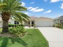 Single-story house with driveway, palm tree, and well-maintained lawn at 1514 Fenimore Ln, The Villages, FL 32162