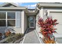 Side entry with walkway and tropical plants at 1711 Augustine Dr, The Villages, FL 32159