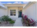 Inviting front entry with a dark-colored door and lush landscaping at 1006 Sayle St, The Villages, FL 32162