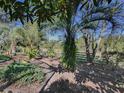 Landscaped backyard with lush tropical plants and a wooden fence at 33236 Grand Cypress Way, Leesburg, FL 34748