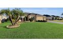 One story home with a palm tree and manicured lawn at 1494 Walnut Way, The Villages, FL 32163