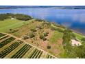 Aerial view of lakefront property with citrus grove at 38230 Yale Cir, Leesburg, FL 34788