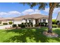 One-story house with attractive landscaping and a large tree providing shade at 1764 Ashwood Run, The Villages, FL 32162