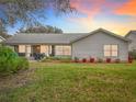 Home's backyard features a screened patio, grassy area, and potted plants at 4817 Summerbridge Cir, Leesburg, FL 34748