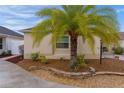Landscaped yard with palm tree and stone border next to tan house at 9224 Se 167Th Ford St, The Villages, FL 32162