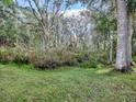 Picturesque view of a wooded area with lush vegetation at 32314 Oak Park Dr, Leesburg, FL 34748