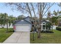 Gray house with white garage door, landscaping, and American flag at 76 Zachary Wade St, Winter Garden, FL 34787