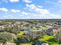 Community overview showcasing various houses and landscape at 27437 Desert Rose Ct, Leesburg, FL 34748