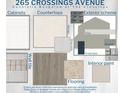 Donatella floor plan showcasing various interior and exterior color options at 265 Crossings Ave, St Cloud, FL 34771