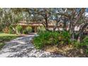 Landscaped front yard with a winding driveway leading to the home at 3933 Mammoth Grove Rd, Lake Wales, FL 33898