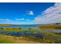 Scenic lake view with lush greenery and blue sky at 1836 N Crystal Lake Dr # 35, Lakeland, FL 33801