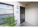 Front door entryway of condo with a screen door and small potted plant at 6024 Topher Trl, Mulberry, FL 33860