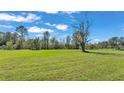 Spacious backyard with mature trees and grassy area at 4616 Musket Dr, Lakeland, FL 33810