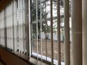 View of backyard through window with blinds at 806 E 2Nd Ave, New Smyrna Beach, FL 32169