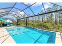 Resort-style pool with a view of nature at 552 Mosaic Blvd, Daytona Beach, FL 32124