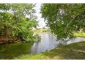Peaceful pond view with lush greenery and a home in the distance at 2051 Cornell Pl, Port Orange, FL 32128