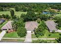 Aerial view of homes near a golf course and pond at 2626 Turnbull Estates Dr, New Smyrna Beach, FL 32168