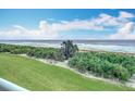 Ocean view from beachfront property with lush landscaping at 5303 S Atlantic Ave # 270, New Smyrna Beach, FL 32169