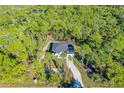 Single-story house with a driveway, nestled in a wooded area at 1695 Tatum Blvd, New Smyrna Beach, FL 32168