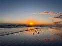 Sunrise over the beach with birds on the shore at 701 N Atlantic Ave # 203, New Smyrna Beach, FL 32169