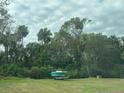 Boat and trailer parked on grassy backyard next to lush trees at 1200 Lurian St, New Smyrna Beach, FL 32168