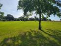 Expansive green pasture with mature trees under a bright sky at 2850 Dowman Dr, Apopka, FL 32712