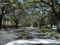 Tree-lined street showcasing the community's landscape at 824 Camargo Way # 106, Altamonte Springs, FL 32714
