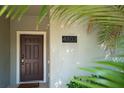 Inviting front door entrance to a home with a dark brown door and white trim at 4803 Brier Rose Ln, Kissimmee, FL 34746