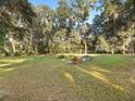 Spacious backyard with lush trees and ample space for relaxation at 5715 Se 109Th St, Belleview, FL 34420
