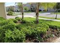 Landscaped front yard with lush greenery and palm trees at 1165 Trappers Trail Loop, Davenport, FL 33896