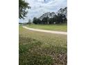 View of grassy area with trees and homes at 263 Sue Ave, Davenport, FL 33897