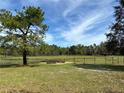 Open pasture with fenced perimeter and trees at 1530 Dusty Trl, Geneva, FL 32732