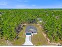 Aerial view of a single-Gathering home on a wooded lot at 95 Malauka Place Trak, Ocklawaha, FL 32179